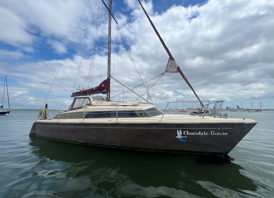 Latest Multihull World Newsletter