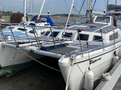 woods catamaran for sale uk