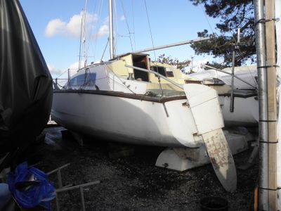 woods catamaran for sale uk