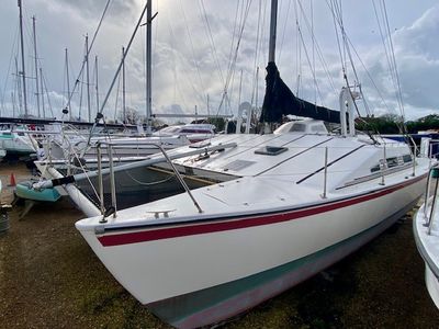 comanche catamaran for sale uk