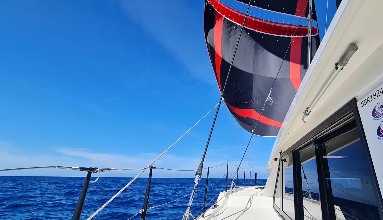 2015 RAPIER 550 BY BROADBLUE