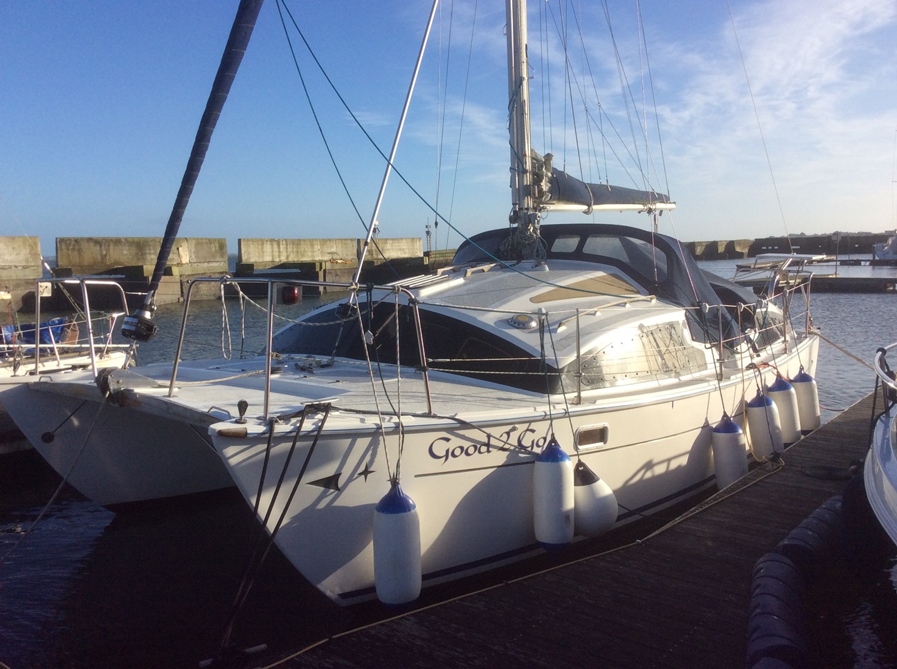 1992 HEAVENLY TWINS 27